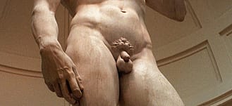 Michelangelo's David (Circumcision)